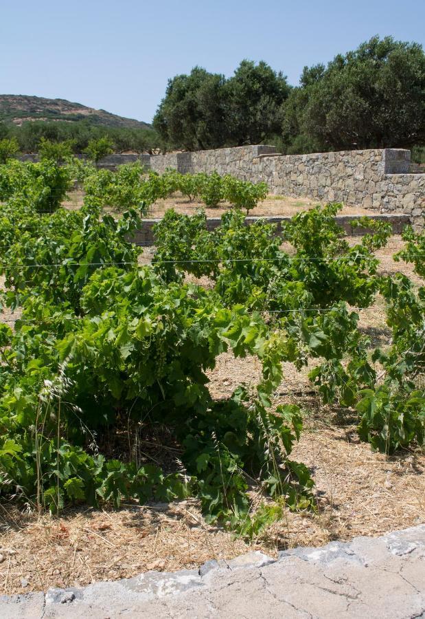 Esperides Stone Houses Palekastro Exterior photo